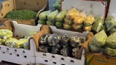 "سوق التنابل" في دمشق.. كيف تحولت مزحة إلى مهنة لبيع الخضراوات الجاهزة؟