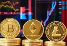 الصناديق المتداولة تحلّق بـ«بتكوين» فوق 78 ألفاً 3 الصناديق المتداولة تحلّق بـ«بتكوين» فوق 78 ألفاً