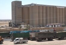 2.7 مليون طن.. سوريا تحقق الاكتفاء الذاتي من القمح 2 2.7 مليون طن.. سوريا تحقق الاكتفاء الذاتي من القمح