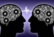 8 عادات بسيطة لحماية الذاكرة وصحة الدماغ