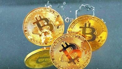العملات الرقمية ترتفع مع تراجع النفط وتحسن شهية المخاطرة