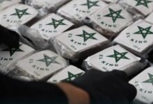إحباط محاولة تهريب 260 كيلوغراماً من الحشيش في حلب