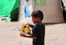 اليمن.. الجوع والنزوح يتفاقمان على وقع معارك تعز