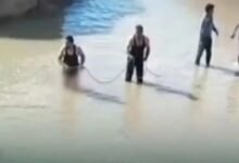 مصرع طفل وإنقاذ 3 آخرين من الغرق في الحسكة